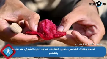 لصحة جهازك الهضمي وتعزيز المناعة.. فوائد التين الشوكي عند تناوله بانتظام